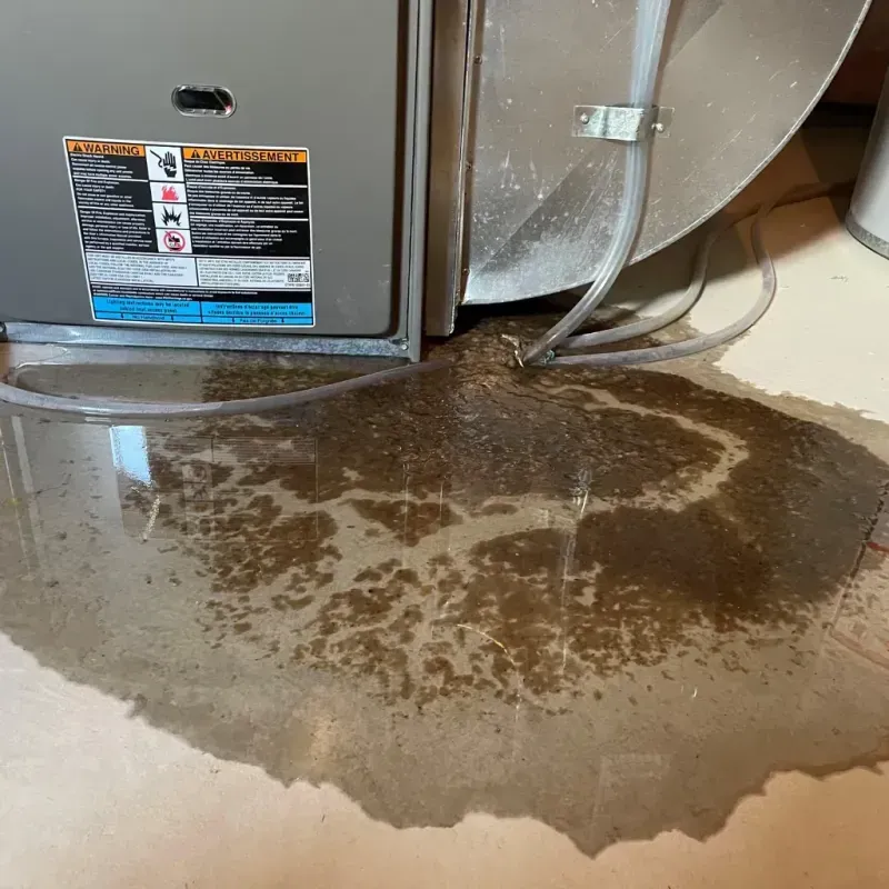 Appliance Leak Cleanup in Pea Ridge, WV